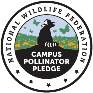 Значок клятвы опылителя в кампусе Национальной федерации дикой природы с изображением енота в шляпе смотрителя парка, окруженного полем цветов и бабочек.